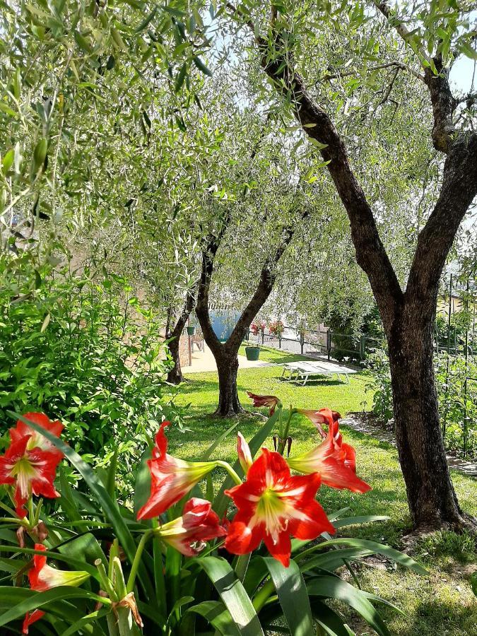 Apartment Maria Brenzone sul Garda Bagian luar foto
